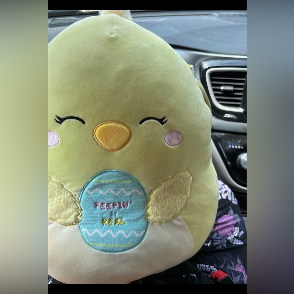 Squishmallow Aimee the chick with egg peepin’ it real 16”